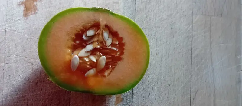 getting seeds from food
